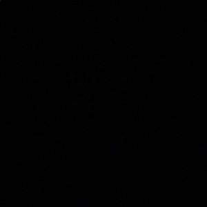 Meet your Posher, Shadae